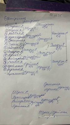Фото турніру