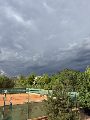 IMG_8661.jpg