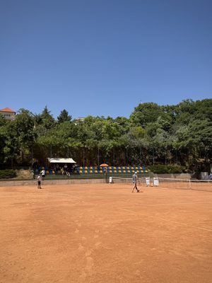 IMG_9688.jpg