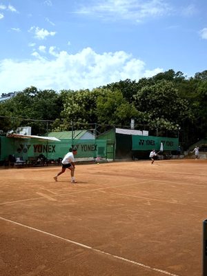 IMG_4996.jpg