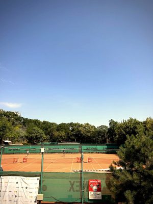 IMG_5346.jpg