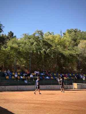 IMG_2533.jpg