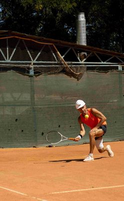IMG_0230.jpg